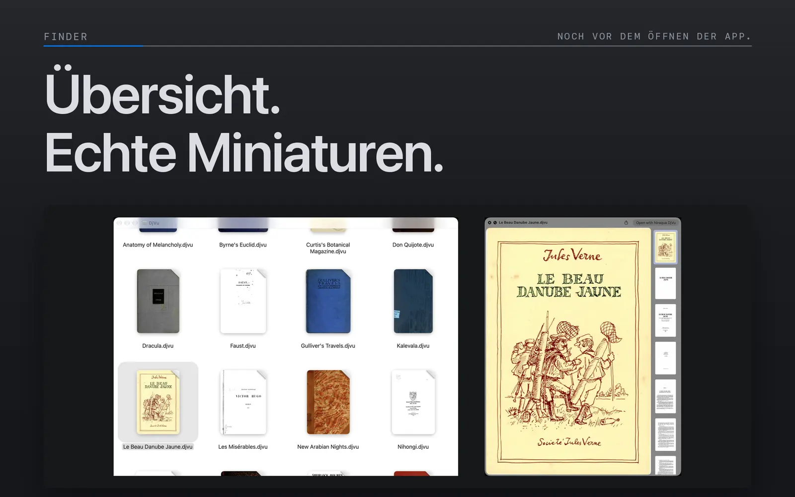 DjVu-Bücher mit Miniaturen der ersten Seite im Finder neben einer Schnellvorschau von Le Beau Danube Jaune.