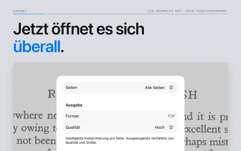 PDF-Exportoptionen für ein DjVu-Dokument.