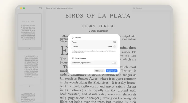 Das PDF-Export-Fenster: Qualitätsvorgabe und optionale durchsuchbare Textebene.