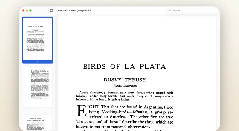 Zoomed in on the page. Scanned type stays sharp at any size.