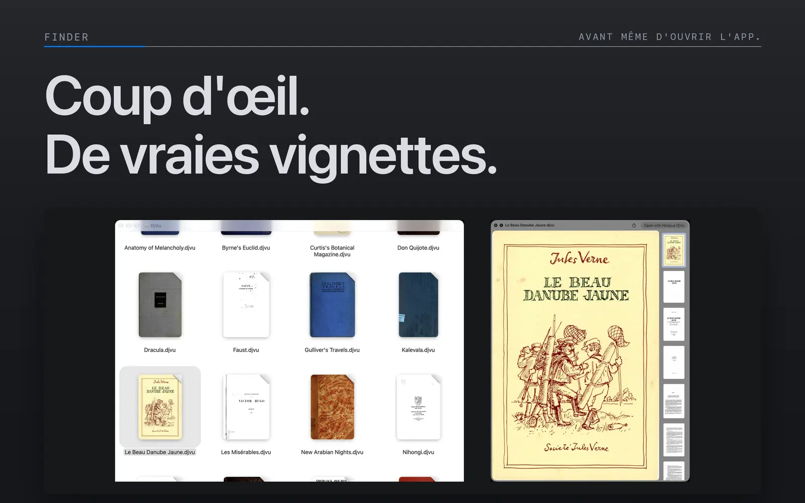Livres DjVu avec des vignettes de leur première page dans le Finder, à côté d’un aperçu Coup d’œil de Le Beau Danube Jaune.