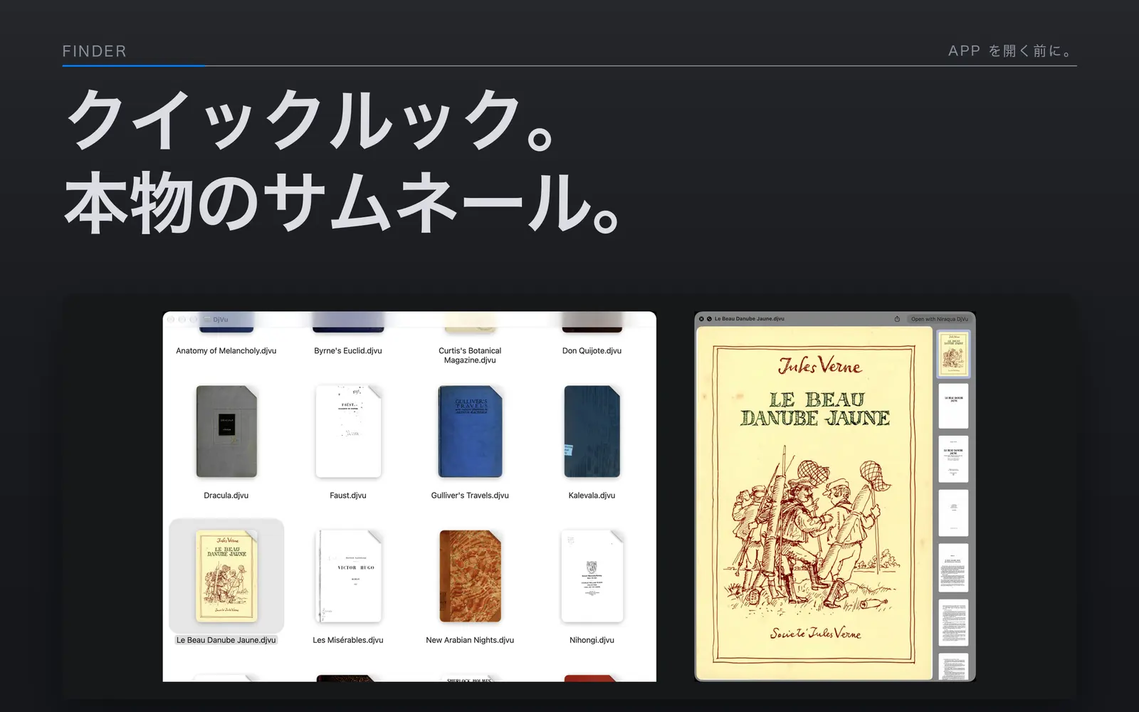 Finderに最初のページのサムネール付きで表示されたDjVuの本と、その隣に表示されたLe Beau Danube Jauneのクイックルック。