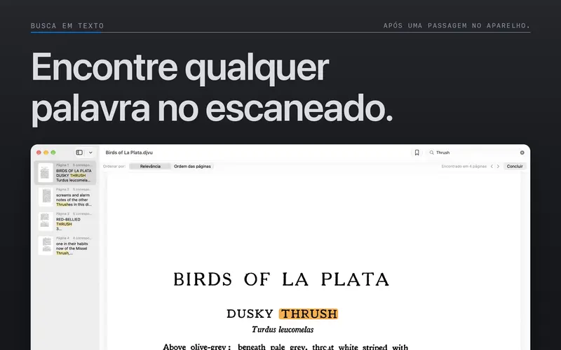 Pesquisa no documento com resultados destacados na página.