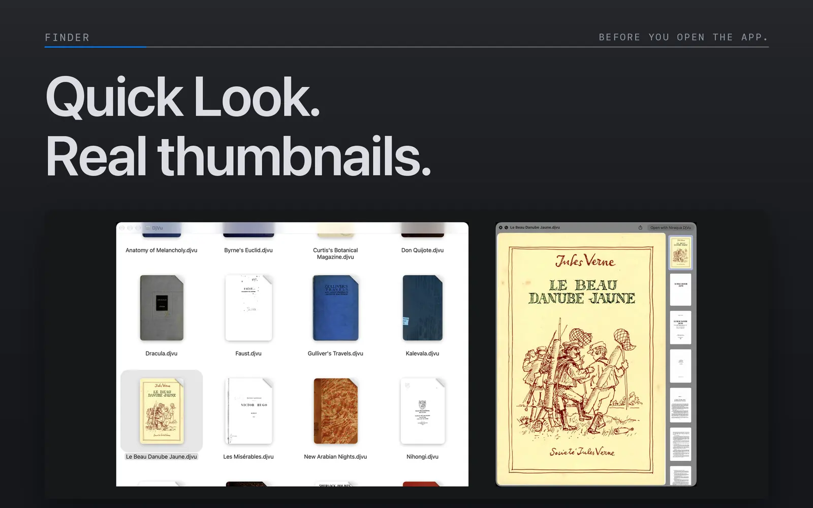 DjVu books shown with first-page thumbnails in Finder beside a Quick Look preview of Le Beau Danube Jaune.