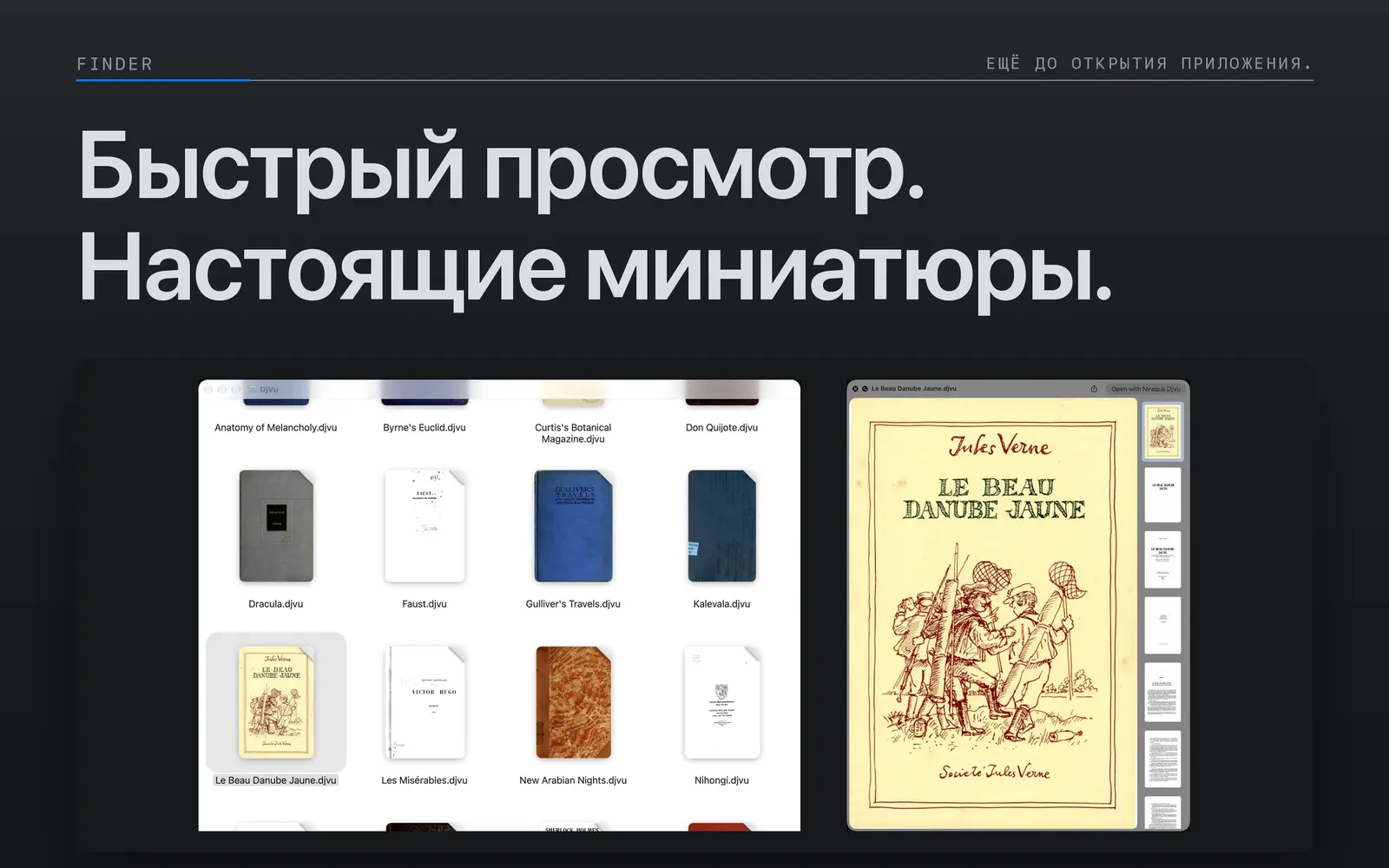 Книги DjVu с миниатюрами первой страницы в Finder рядом с Быстрым просмотром Le Beau Danube Jaune.