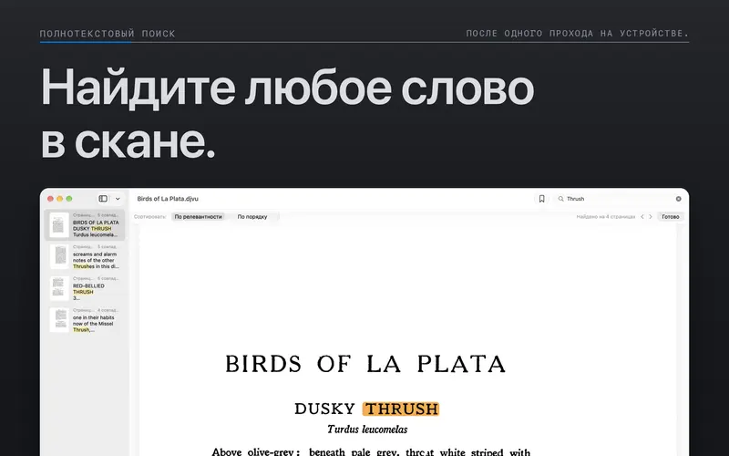 Поиск по документу с подсвеченными совпадениями на странице.