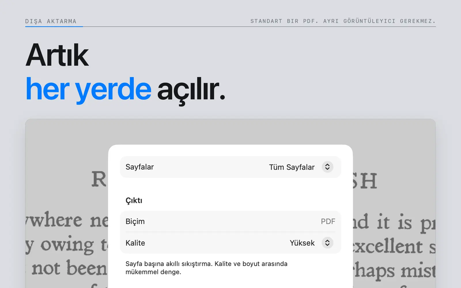 Niraqua DjVu’nun Mac PDF dışa aktarma sayfasında sayfa seçimi ve görüntü kalitesi ayarları.