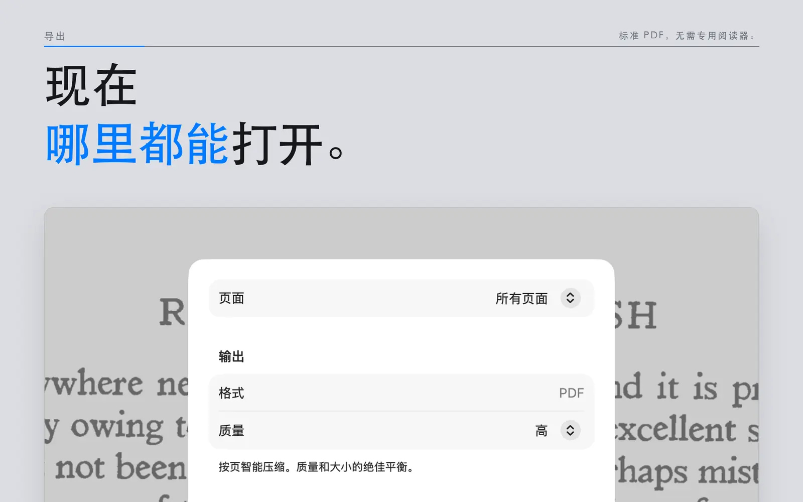 Mac 版 Niraqua DjVu 的 PDF 导出面板，显示页面选择和图像质量设置。