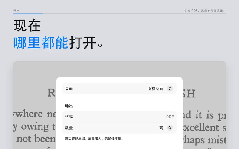 DjVu 文档的 PDF 导出选项。