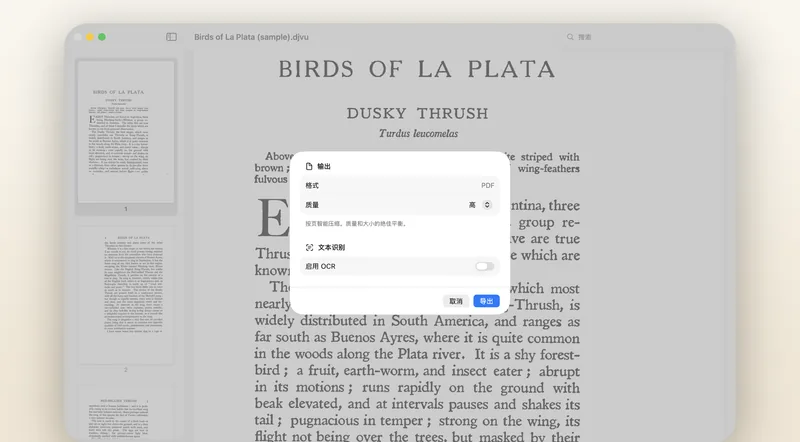 PDF 导出表单:质量预设,以及可选的可搜索文本层。