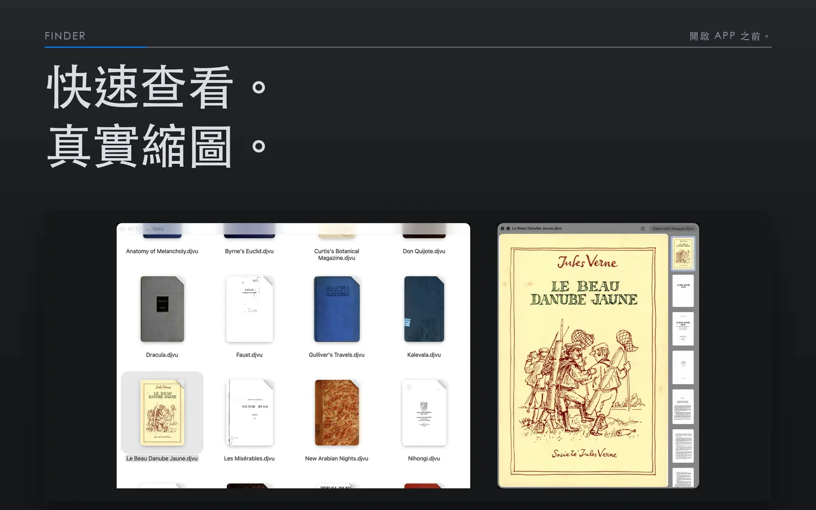 Finder 中的 DjVu 書籍顯示首頁縮覽圖，旁邊是 Le Beau Danube Jaune 的快速查看預覽。